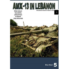 Blue steel 5 AMX-13 abandoned in Lebanon