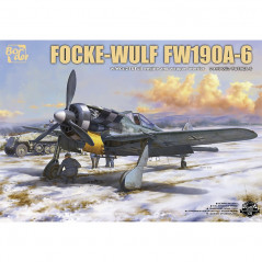 Focke-Wulf Fw 190A-6 with Wgr. 21 & Full engine and weapons interior