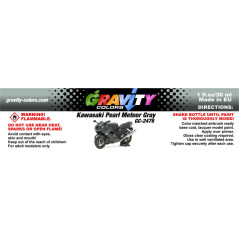 Kawasaki Pearl Meteor Gray 