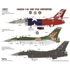 General Dynamics F-16 C - Texas ANG (The Lone Star Gunfighters)