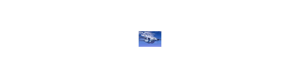 ▷ Comprar Maquetas Aviones 1/72 Online | Carmina Hobbys ®